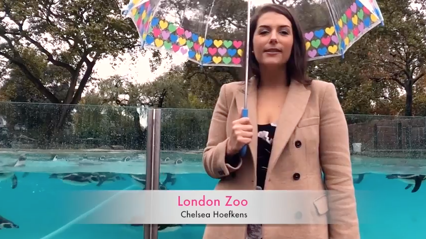 ZSL London Zoo Youtube Interview