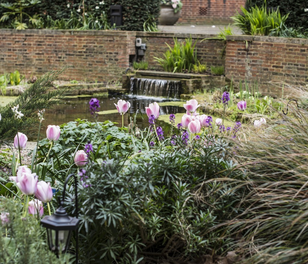 BMA House garden summer pond